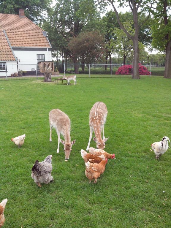 Bed En Breakfast Westerwolde Apartamento Sellingen Exterior foto