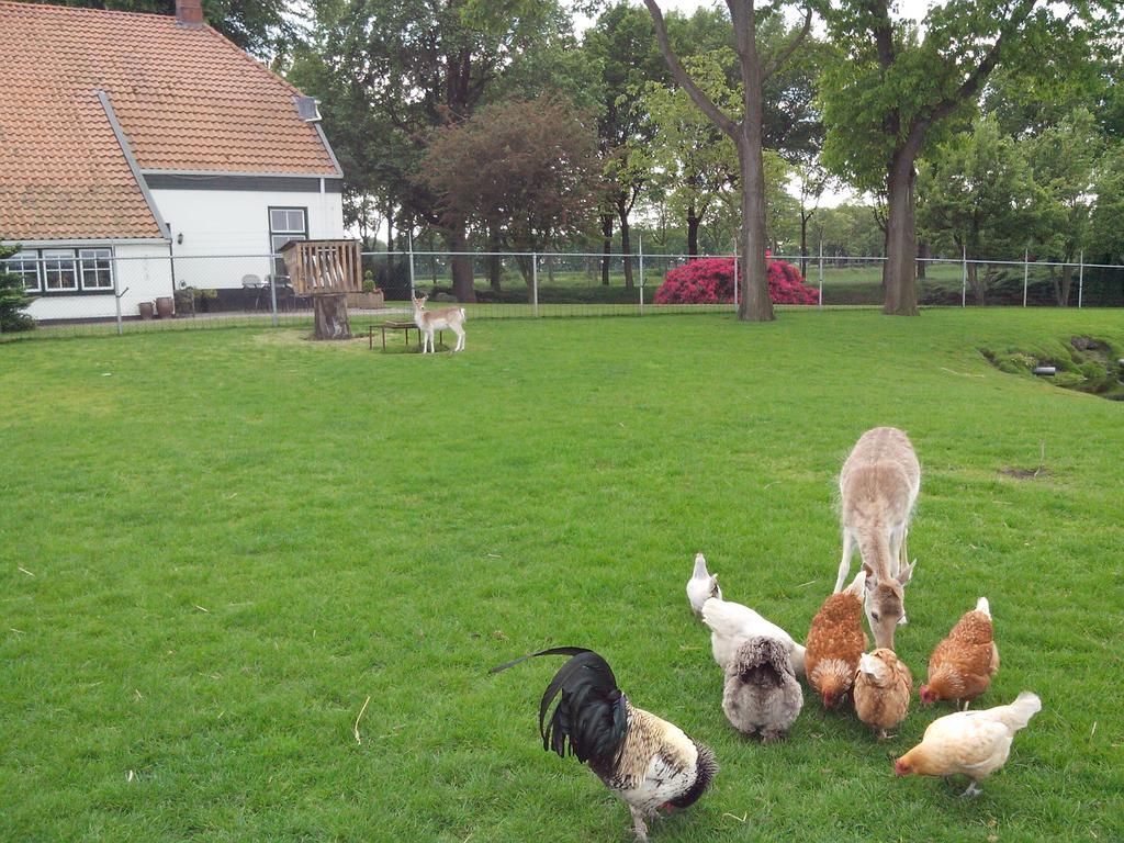 Bed En Breakfast Westerwolde Apartamento Sellingen Exterior foto